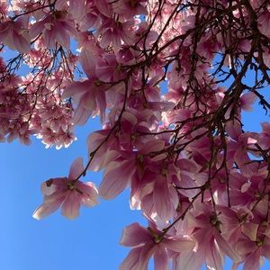 Meet your Posher, Molly